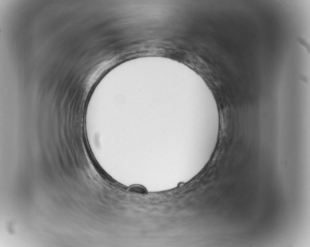 X0000102250003200808151828