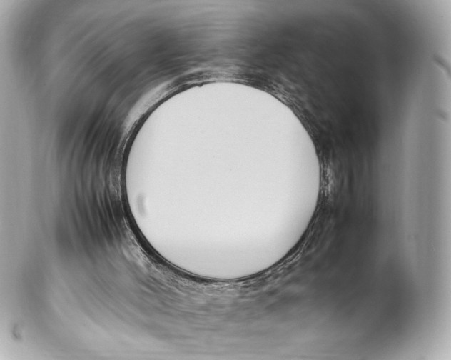 X0000102250004200808151828