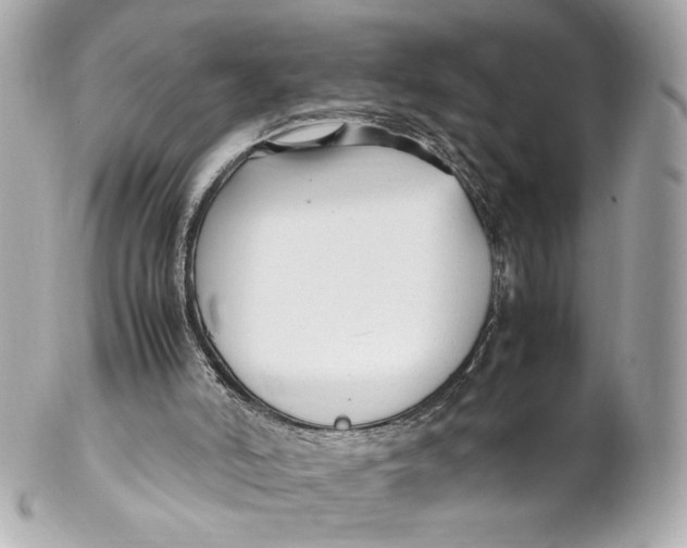 X0000102250006200808151828
