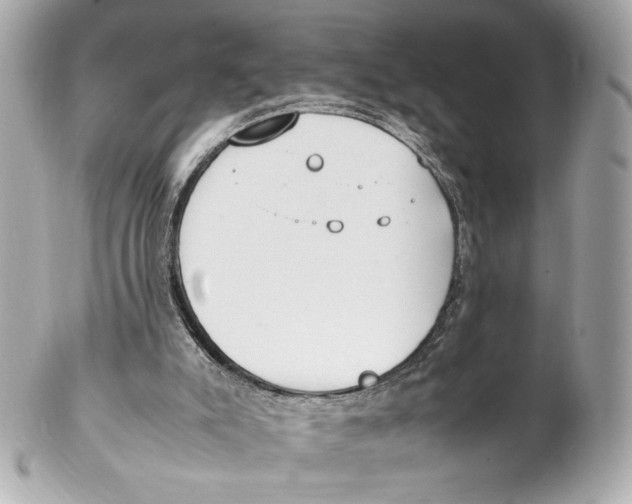X0000102250007200808151828
