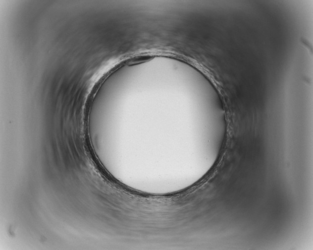 X0000102250008200808151828