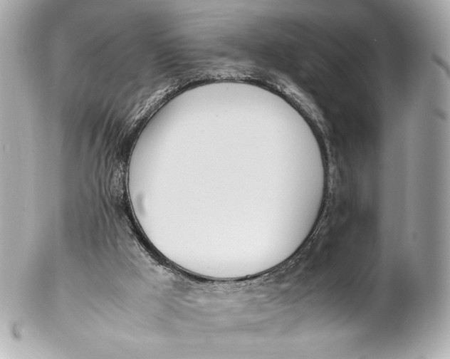 X0000102250009200808151828