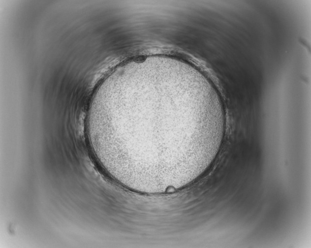 X0000102250010200808151828