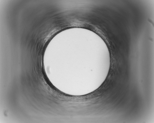 X0000102250011200808151828