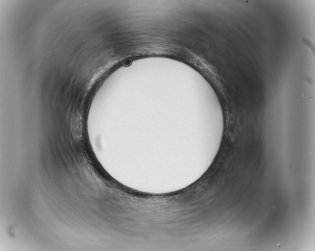 X0000102250012200808151828