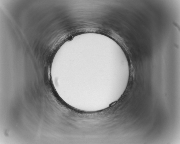 X0000102250013200808151828