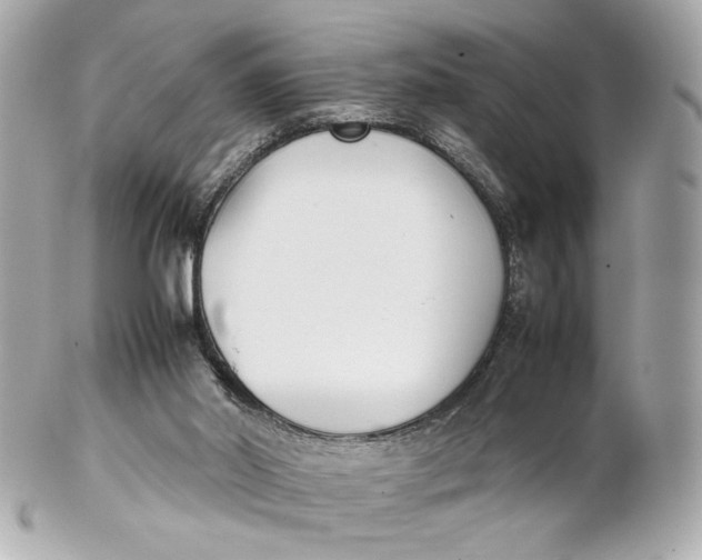 X0000102250014200808151828