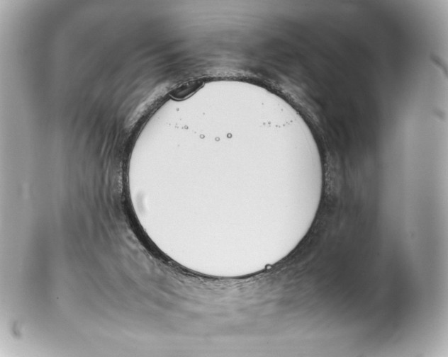 X0000102250015200808151828