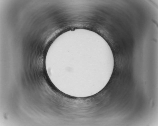 X0000102250016200808151828