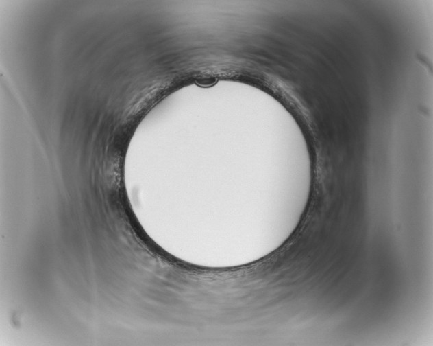 X0000102250017200808151828