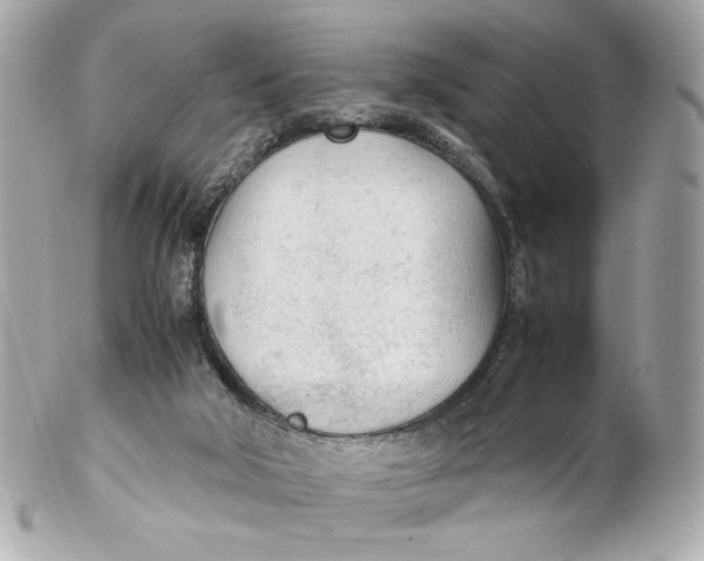 X0000102250018200808151828
