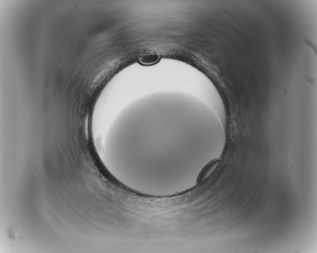 X0000102250019200808151828