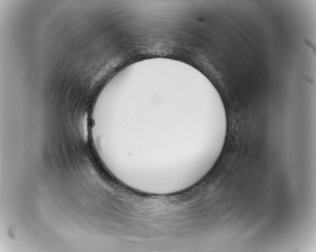 X0000102250020200808151827