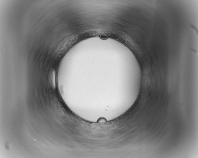 X0000102250022200808151827