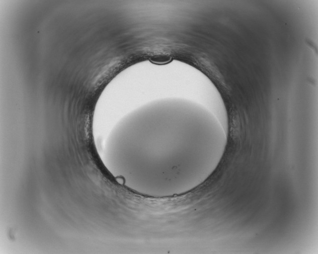 X0000102250023200808151827