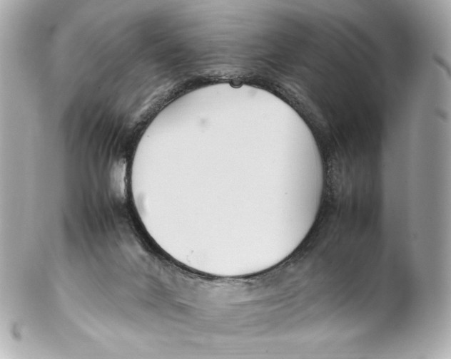 X0000102250024200808151827