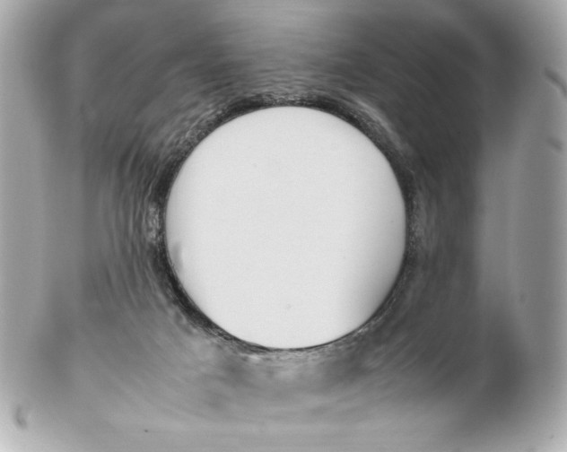 X0000102250025200808151827