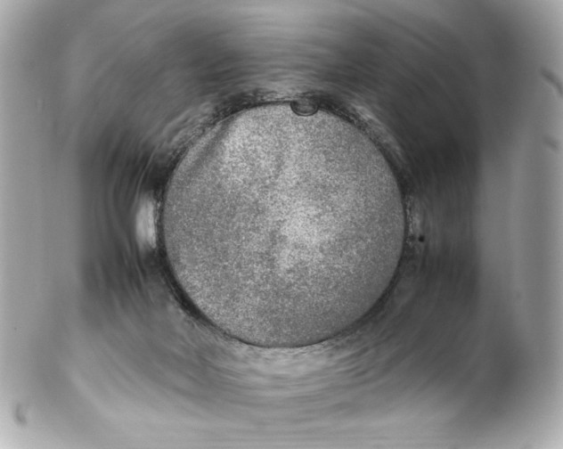 X0000102250026200808151827