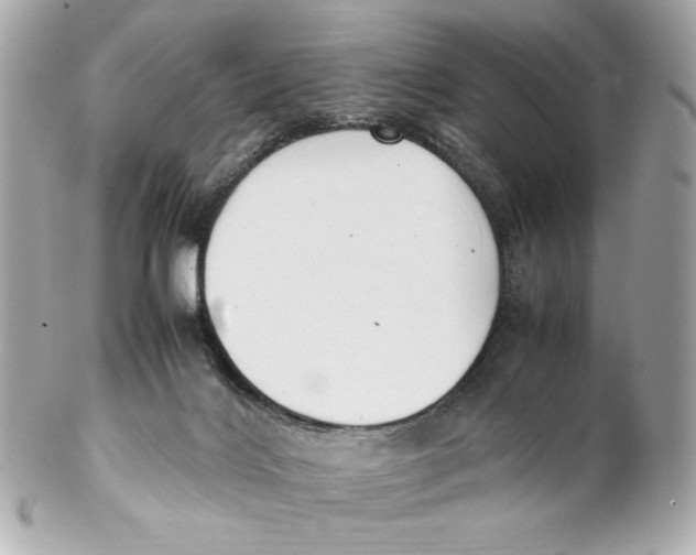 X0000102250028200808151827