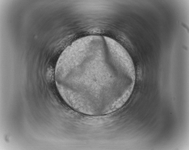 X0000102250029200808151827