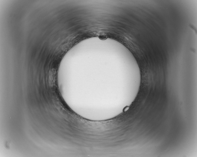 X0000102250030200808151827
