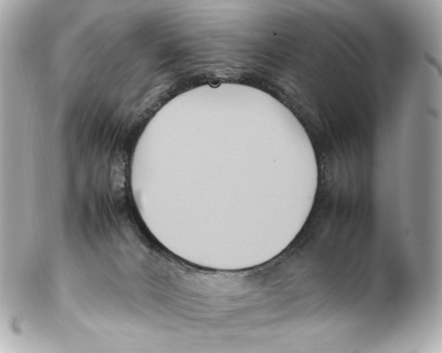 X0000102250032200808151827