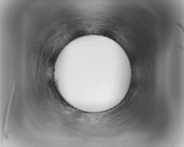 X0000102250033200808151827