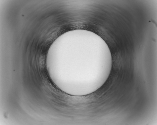 X0000102250034200808151827