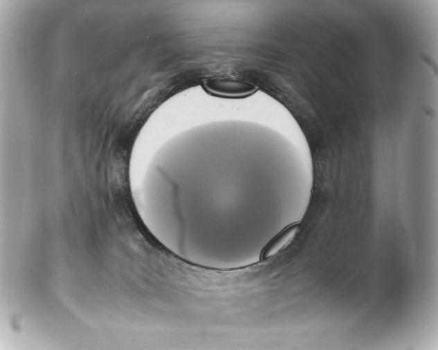 X0000102250035200808151827