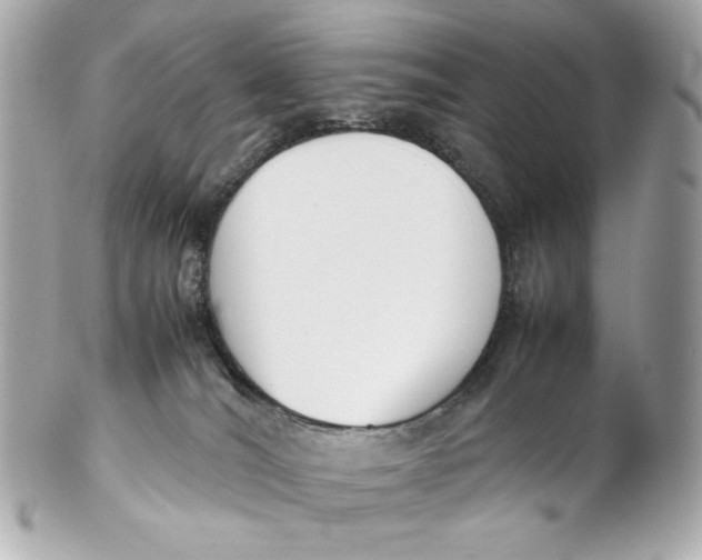 X0000102250036200808151827