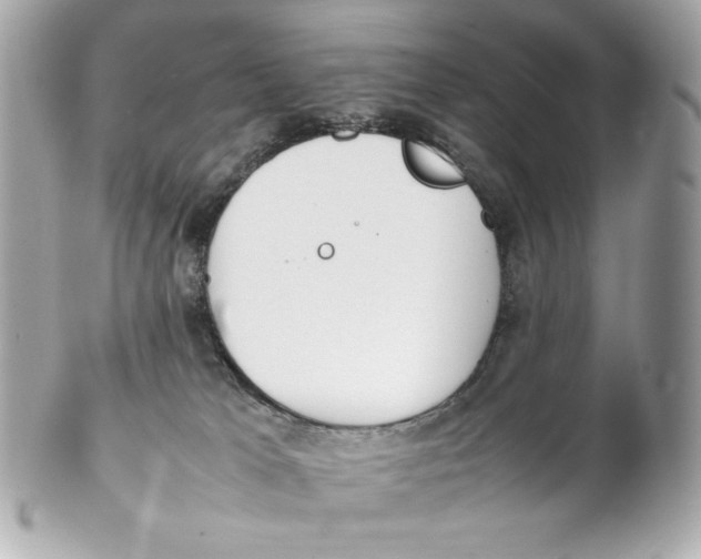 X0000102250037200808151827