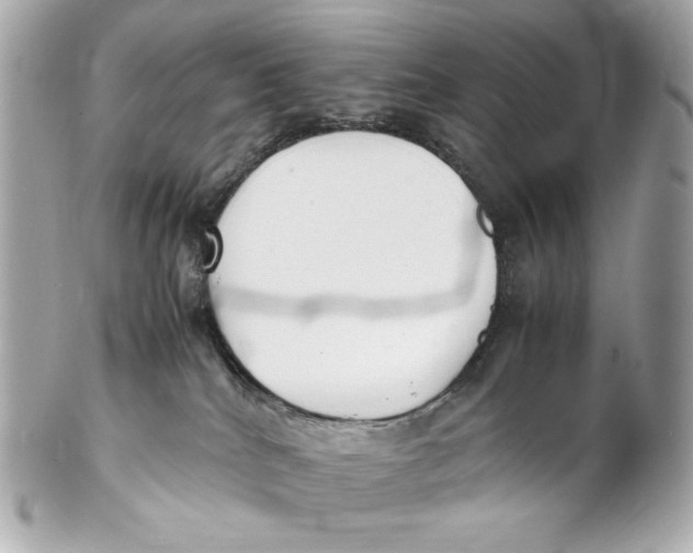 X0000102250040200808151827