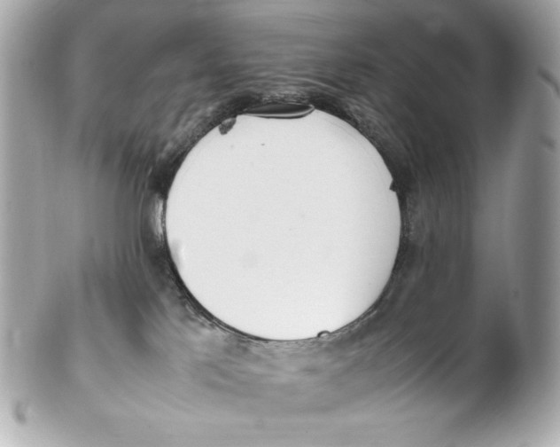 X0000102250041200808151827