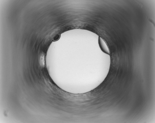 X0000102250042200808151827