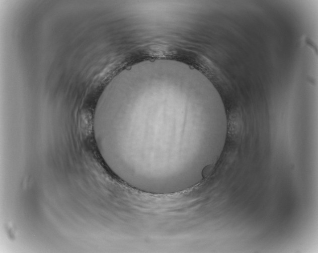 X0000102250043200808151827