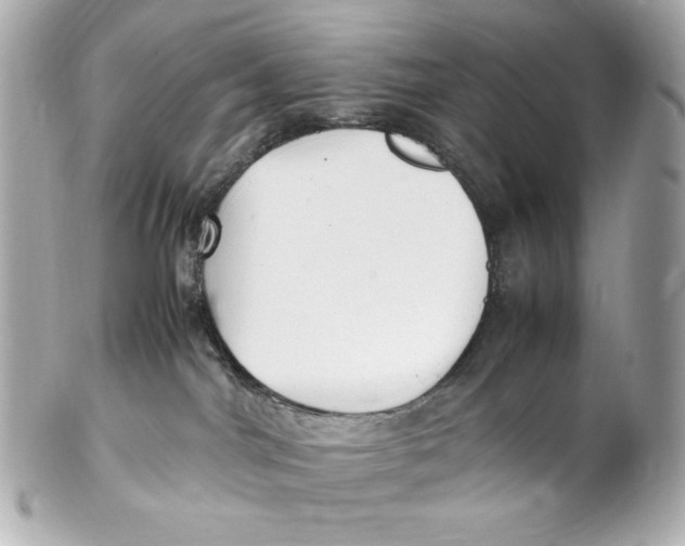 X0000102250044200808151827