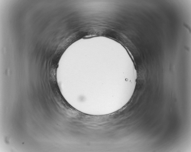 X0000102250045200808151827