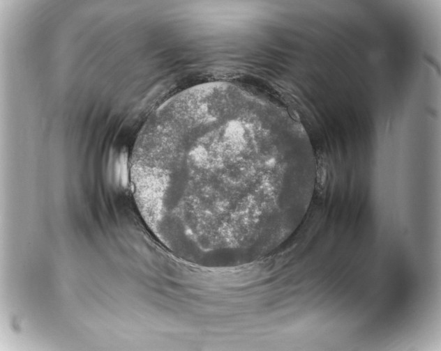 X0000102250046200808151827