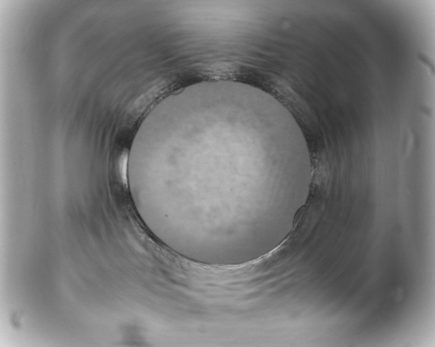X0000102250047200808151827