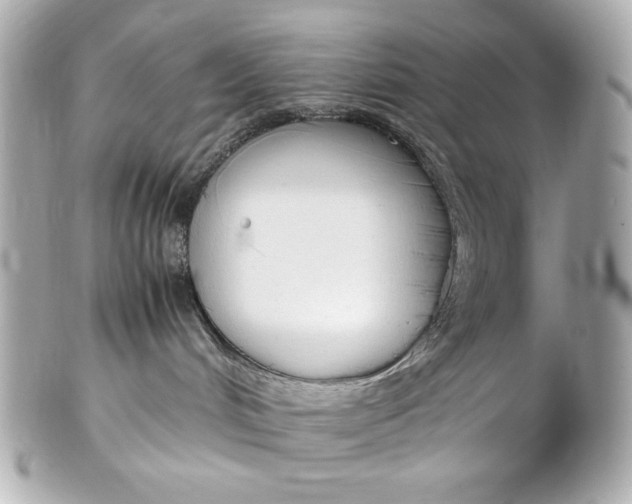 X0000102250048200808151827