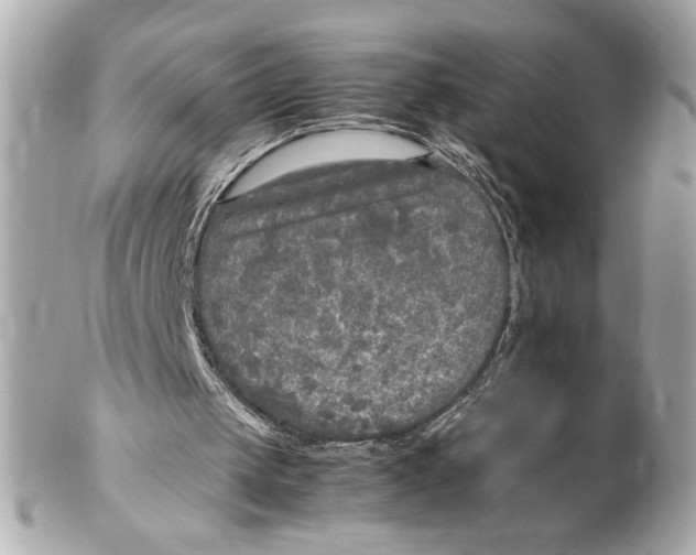 X0000102250049200808151826