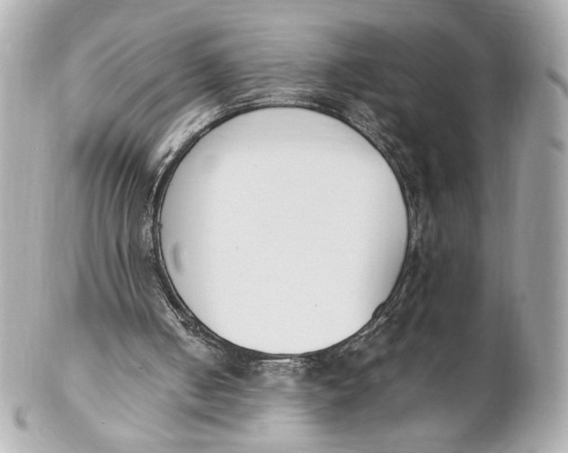 X0000102250050200808151826
