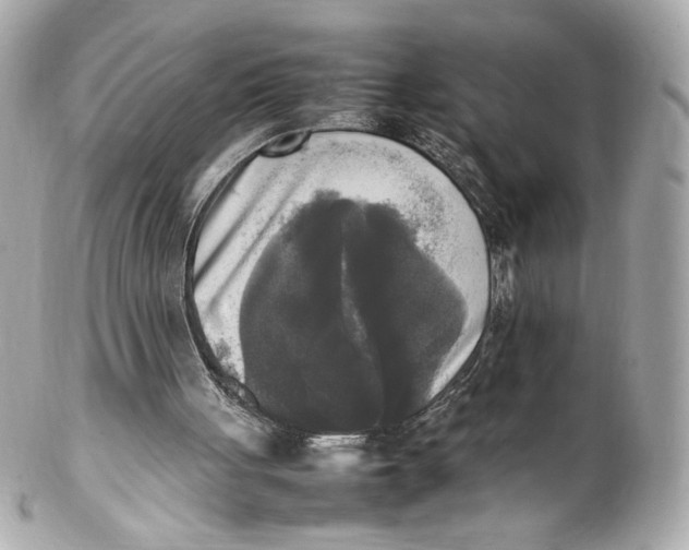 X0000102250051200808151826
