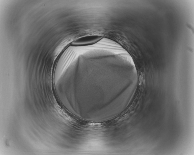 X0000102250052200808151826