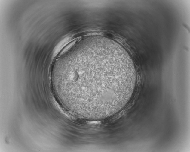 X0000102250053200808151826