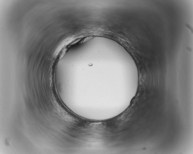 X0000102250054200808151826