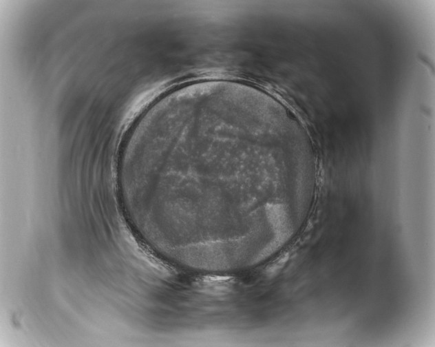 X0000102250055200808151826