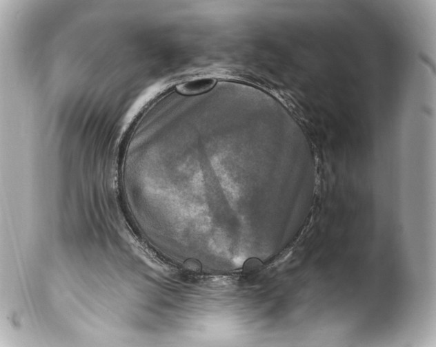 X0000102250056200808151826