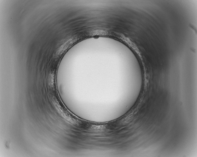 X0000102250057200808151826