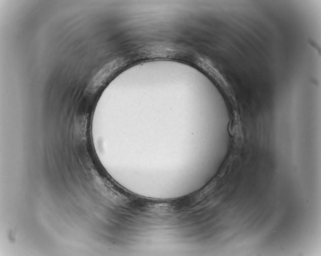 X0000102250058200808151826